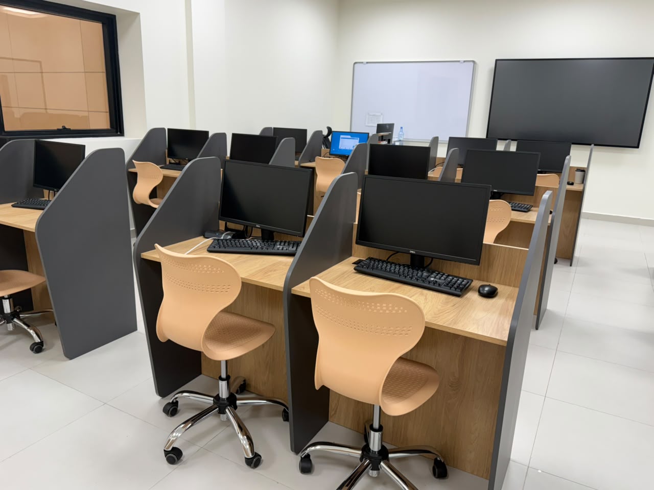 Labs photos